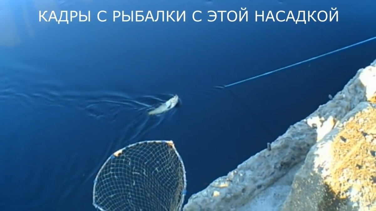 ВСЯ КРУПНАЯ РЫБА КЛЮЁТ НА ЭТУ НАСАДКУ | ДМИТРИЙ БУТОРОВ | Дзен