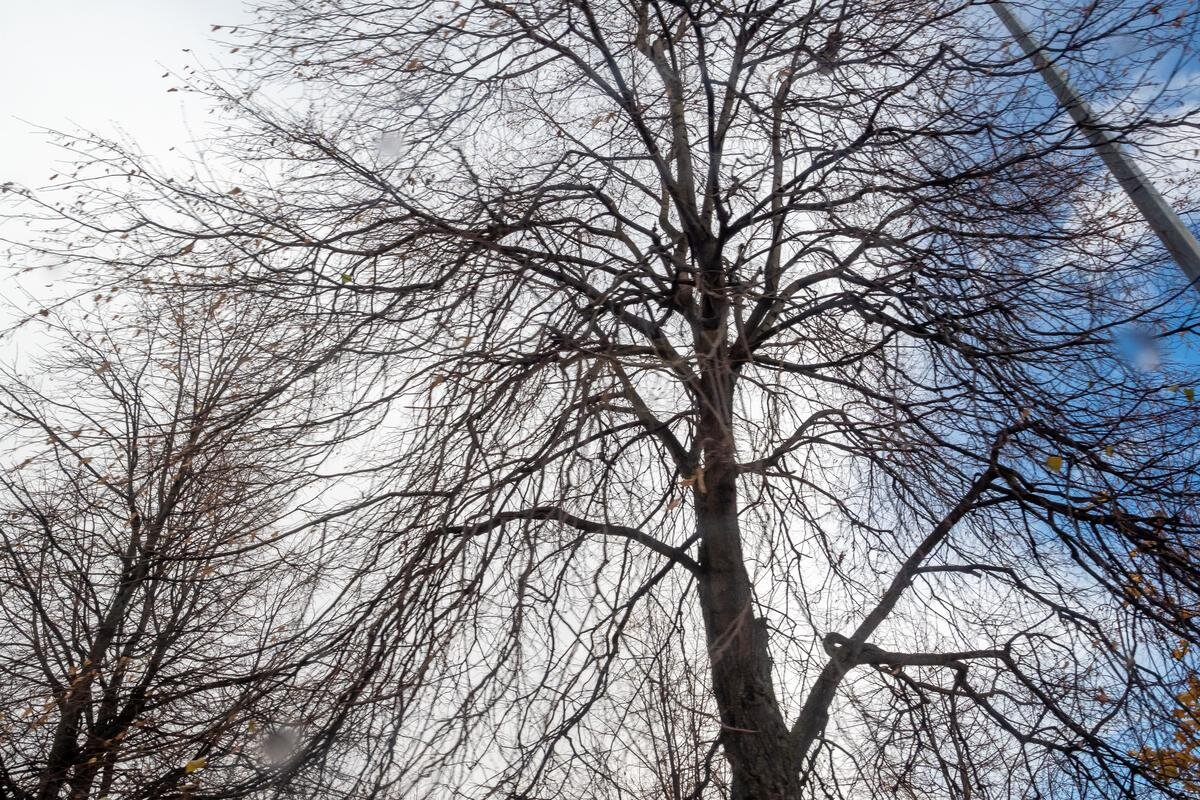 Фото: Олег Золото / MR7