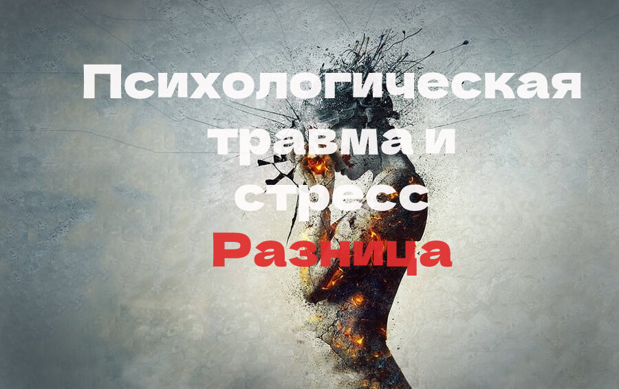 Источник фото: https://www.b17.ru/article/kogda_hochetsya_krichat/ 