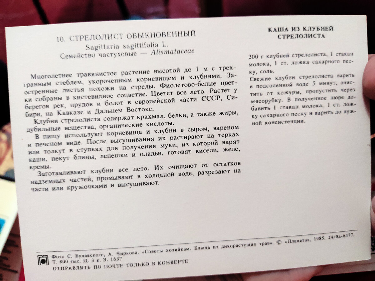 15 экзотических блюд советской кулинарии. Это вам не каша из топора. Рецепты  на открытках. | Читающий хомяк | Дзен