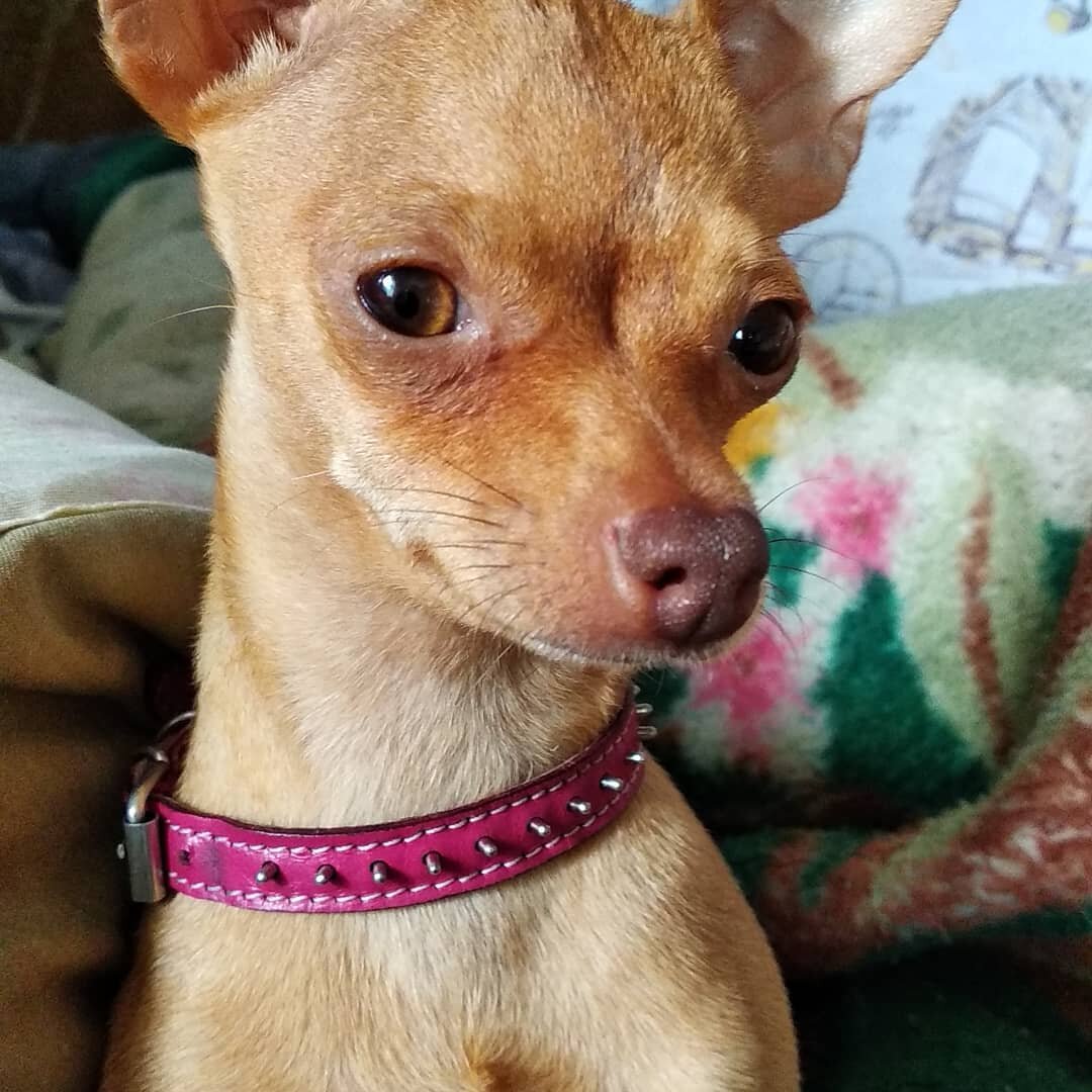 А это моя девочка, уж у неё мыслей! А фантазии!!! 