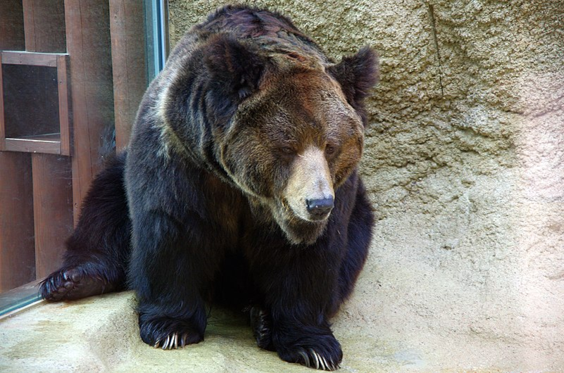 - Пищухой не угостите?