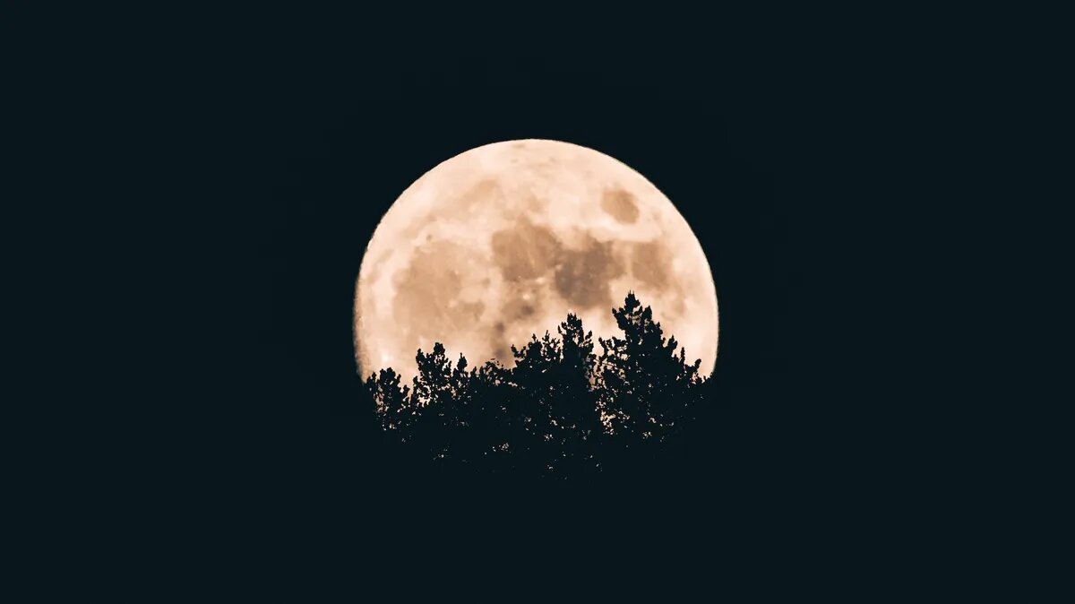 В Cуперлуние ночь особенно хороша. Фото: unsplash.com