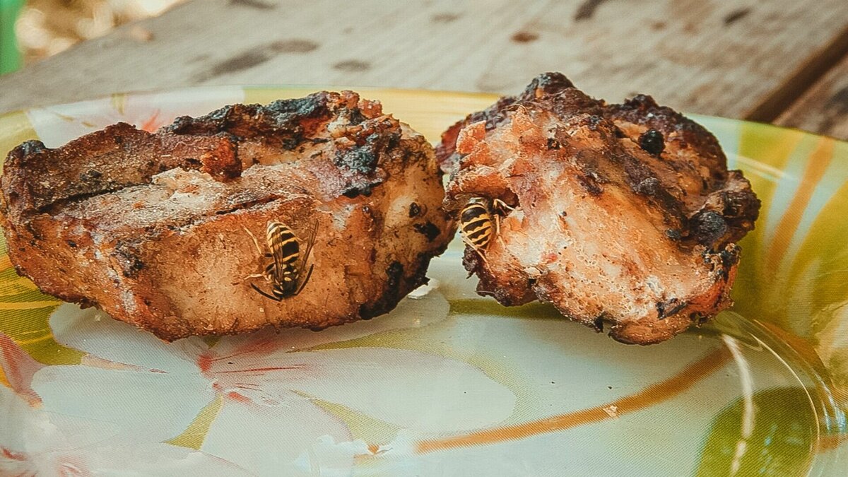     17 января на заседании комиссии гордумы Нижнего Новгорода по экологии рассмотрели проект переработки органических отходов с помощью насекомых, в частности, личинок мухи «черная львинка».