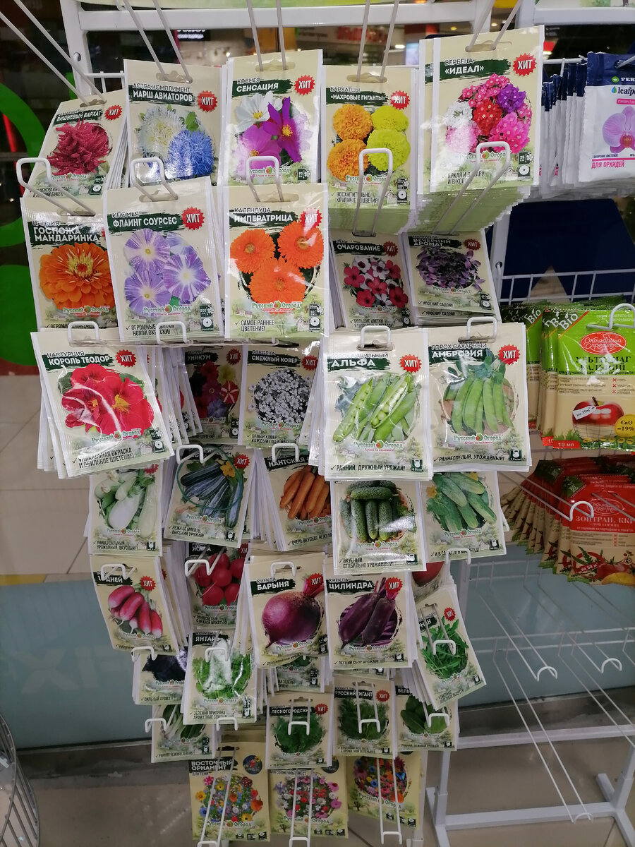 Ассортимент семян.