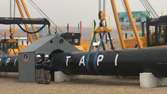    В России допустили возможность присоединения к проекту газопровода ТАПИ Ксения Пудовкина