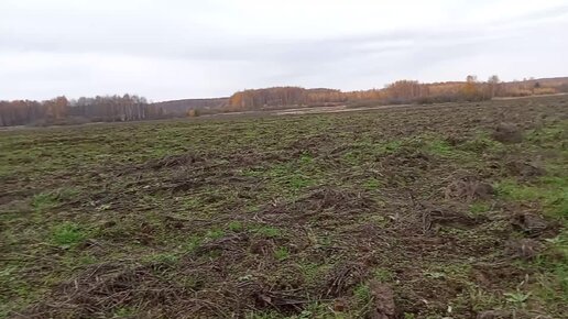 Было село, стало поле,поиск монет.