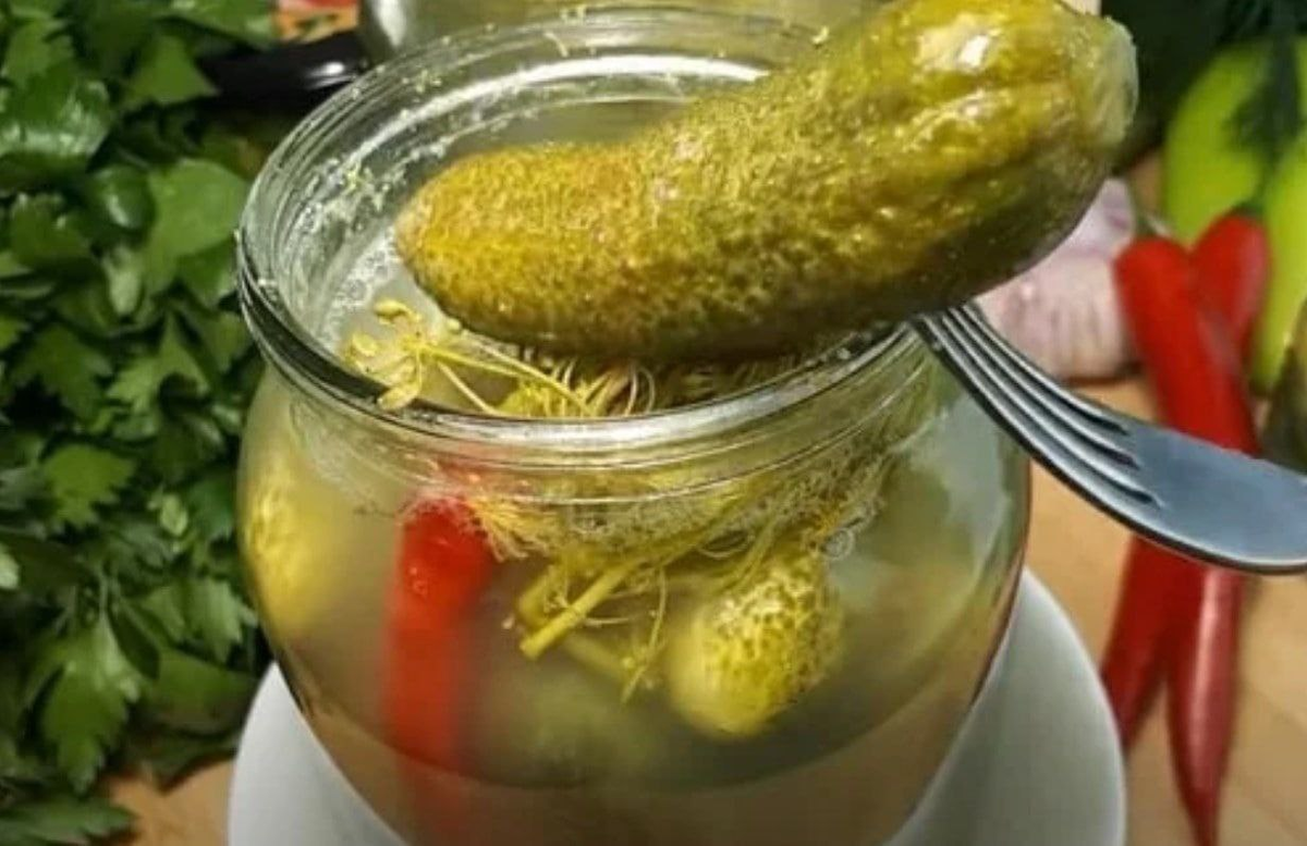 Фото Яндекс картинки.