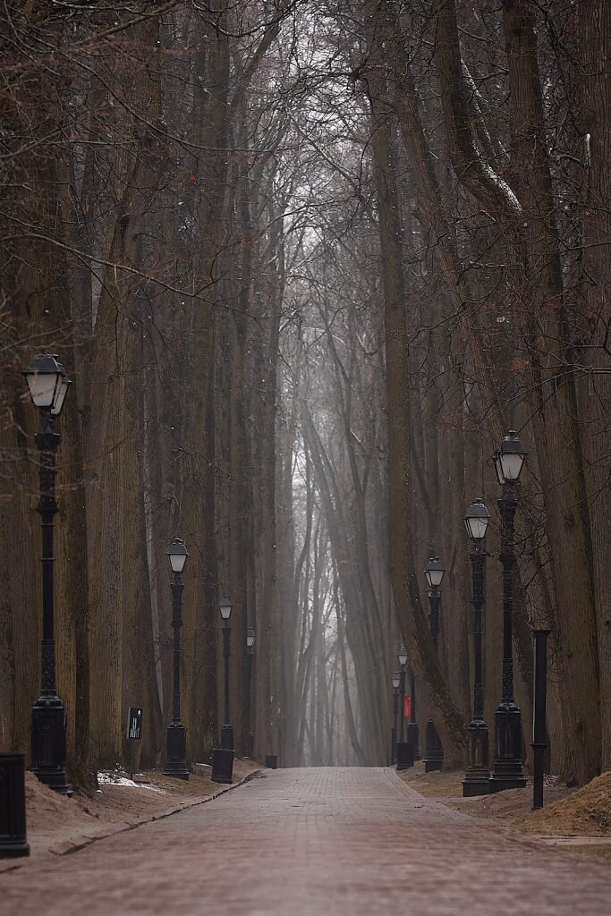 Фото Степанов А. Весна в Царицыно, 2019