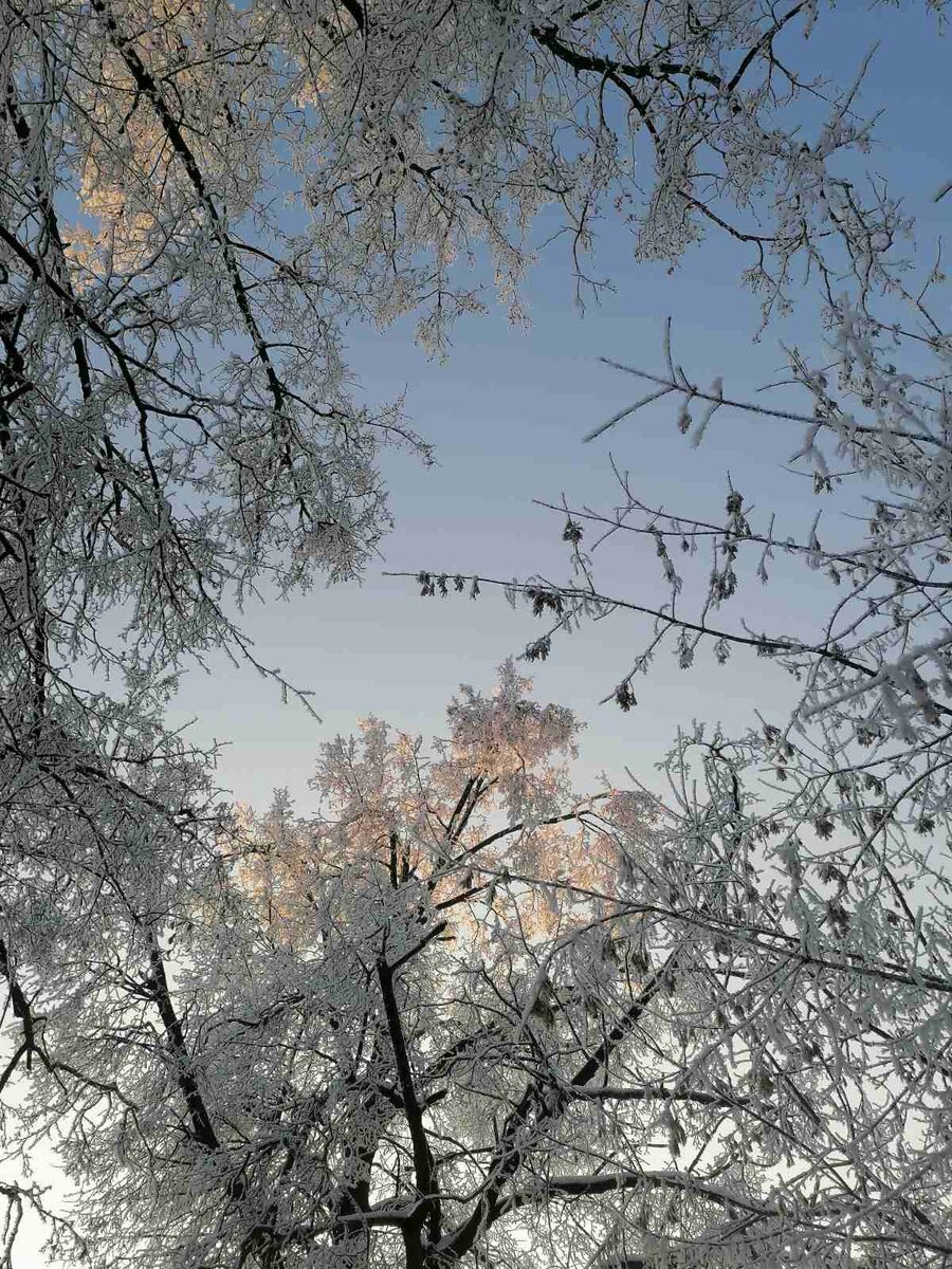 Фото из личного архива автора канала