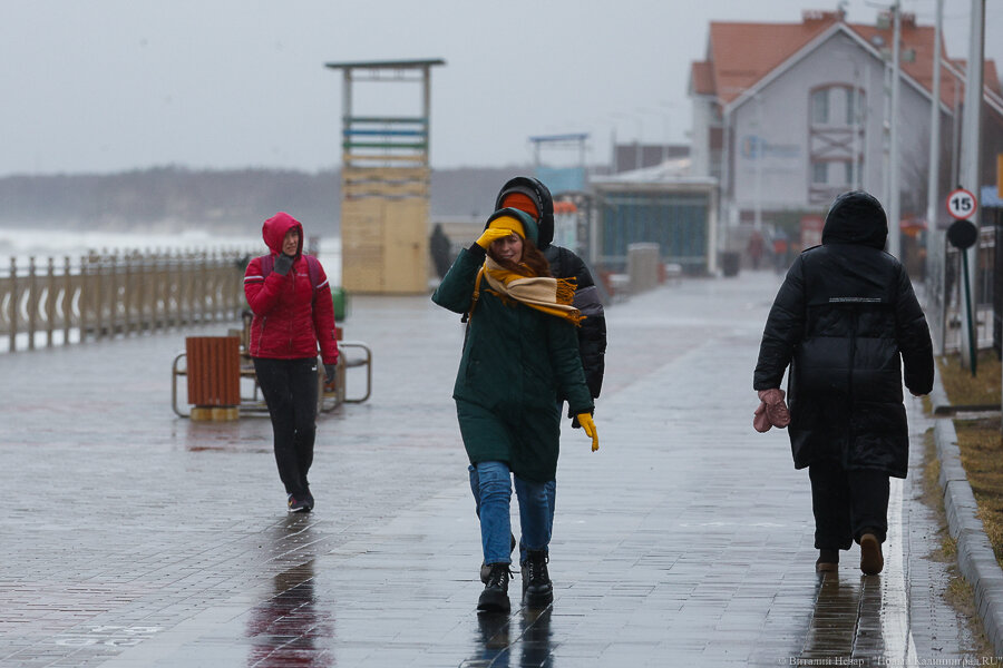 Фото: Виталий Невар / Новый Калининград