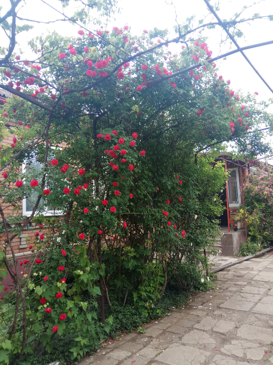 Дом моего дедушки.