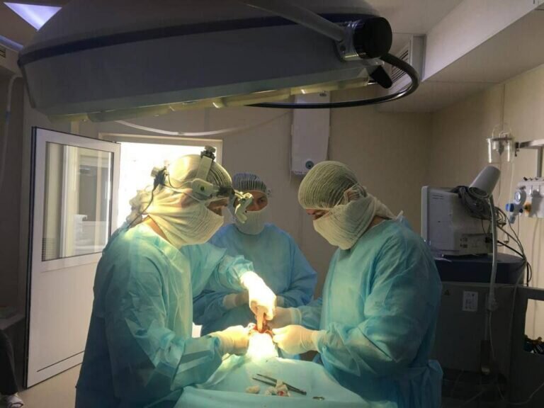    Офтальмологи детской больницы спасают глаза и зрение маленьких оренбуржцев Кристина Просвиркина