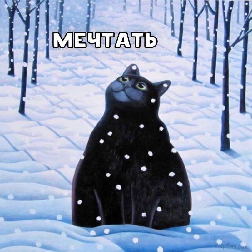Я похоже на этого котика сытая, довольная, спокойная, мечтательная и радуюсь снегу.