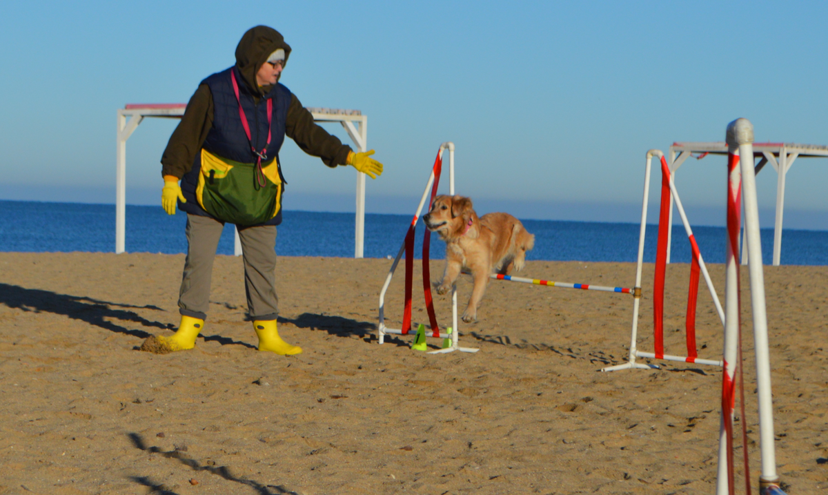 Наше занятие на пляже, январь 2023