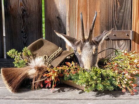 ФОТО SHUTTERSTOCK