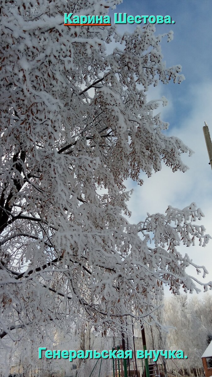 Из личного архива автора. 