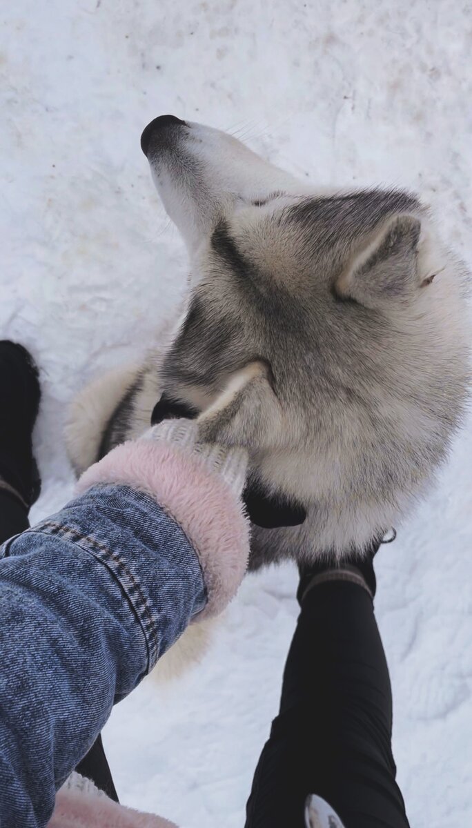 На прогулке