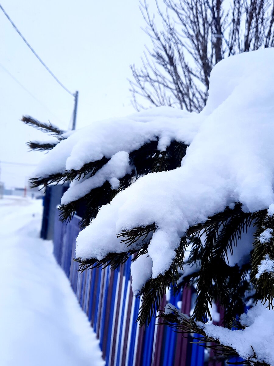 Единственное красивое фото в моем телефоне 