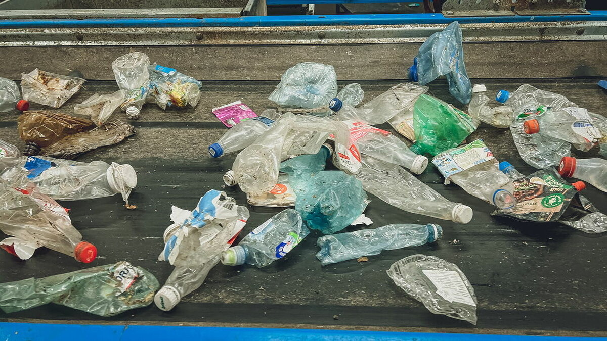     В Кисловодске начались ночные рейды, чтобы не допустить появления незаконных свалок, сообщил сити-менеджер Евгений Моисеев.