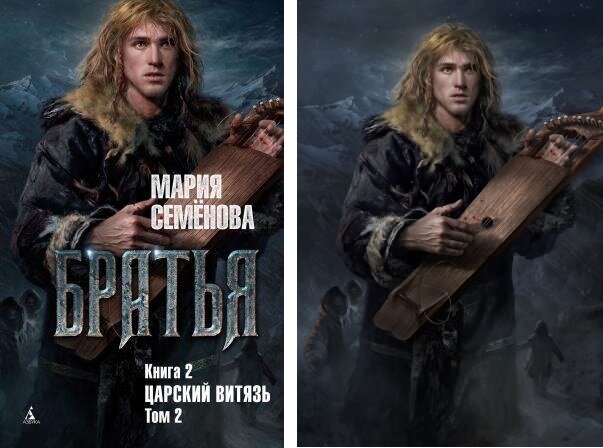 семенова братья книга
