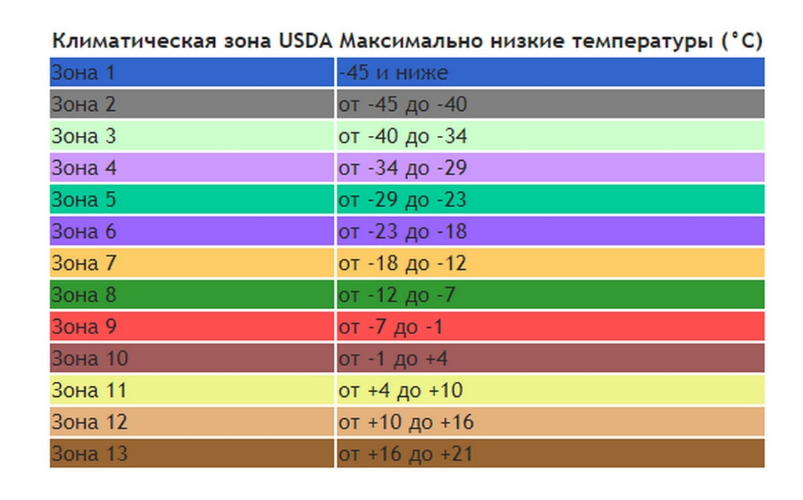Зона зимостойкости согласно классификации Департамента сельского хозяйства США, которые отлично работают и на территории России