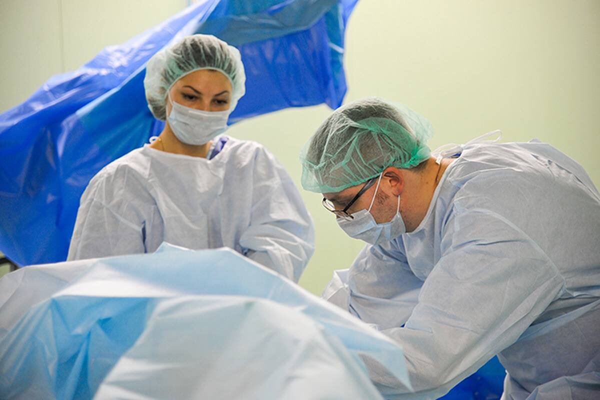    Фото: Александр Авилов / АГН Москва