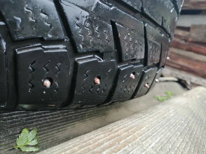 Так сидели старые шипы