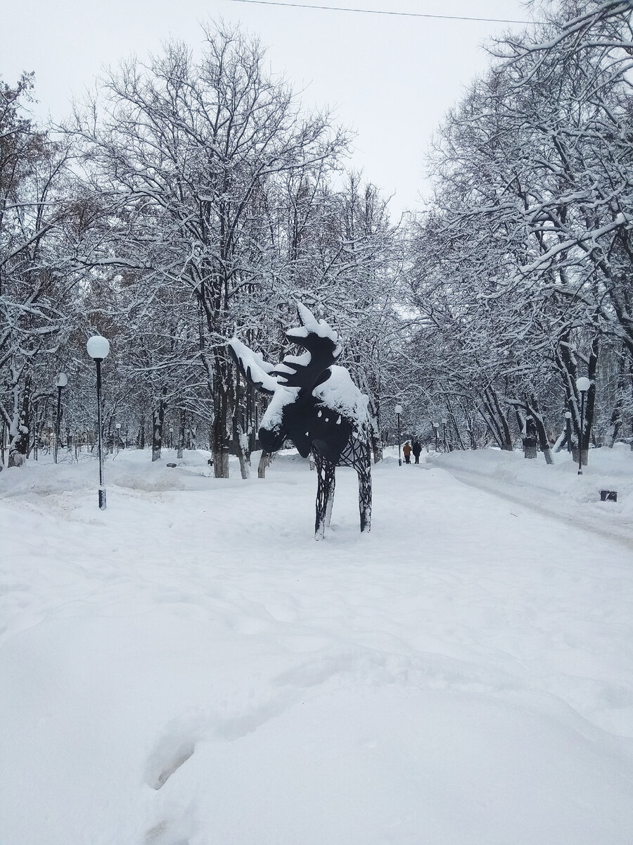 Лось - символ Вологды теперь в центре города | Прогулки с Девчулей  Конфеткиной | Дзен