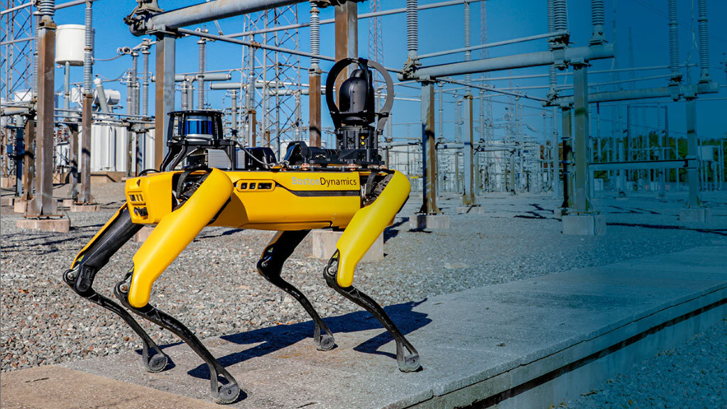   Фото: www.bostondynamics.com