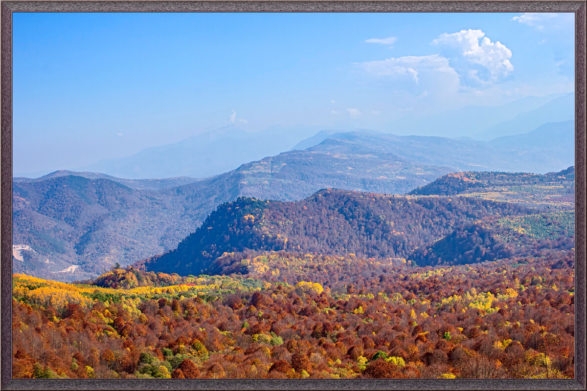 Осень рыжая подружка 