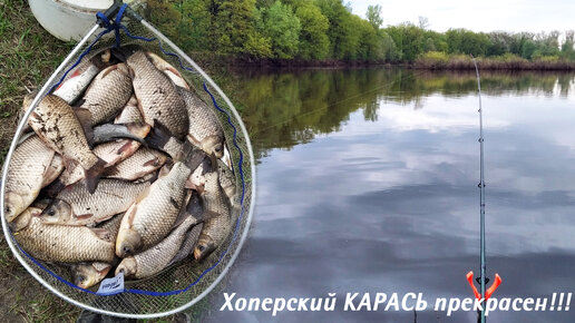 Хоперский КАРАСЬ ПрЕкРаСеН!!!