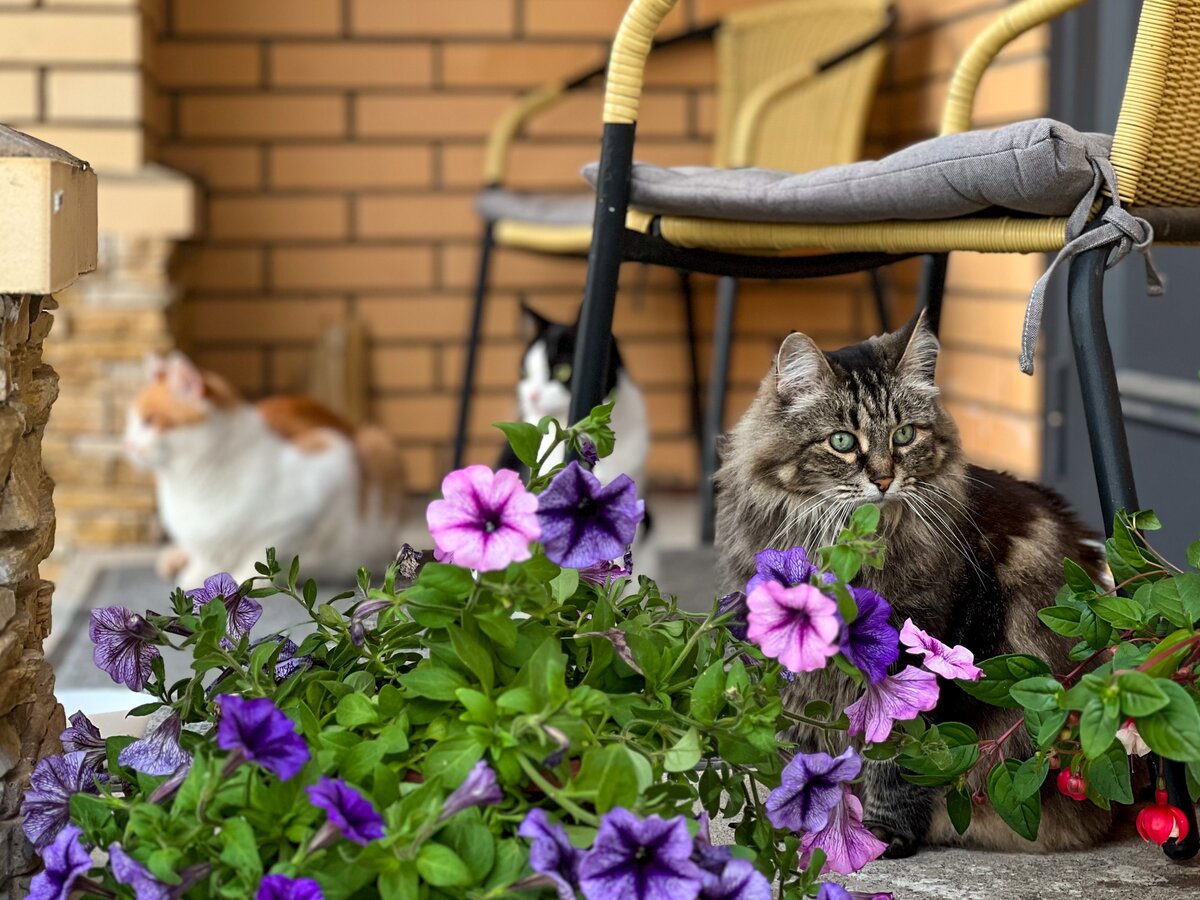 iPhone 13 Pro back dual camera 9mm f/2.8; ЭФР=77мм; 1/120; ISO 80; -2/3EV