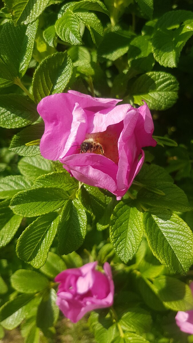 Фото автора.