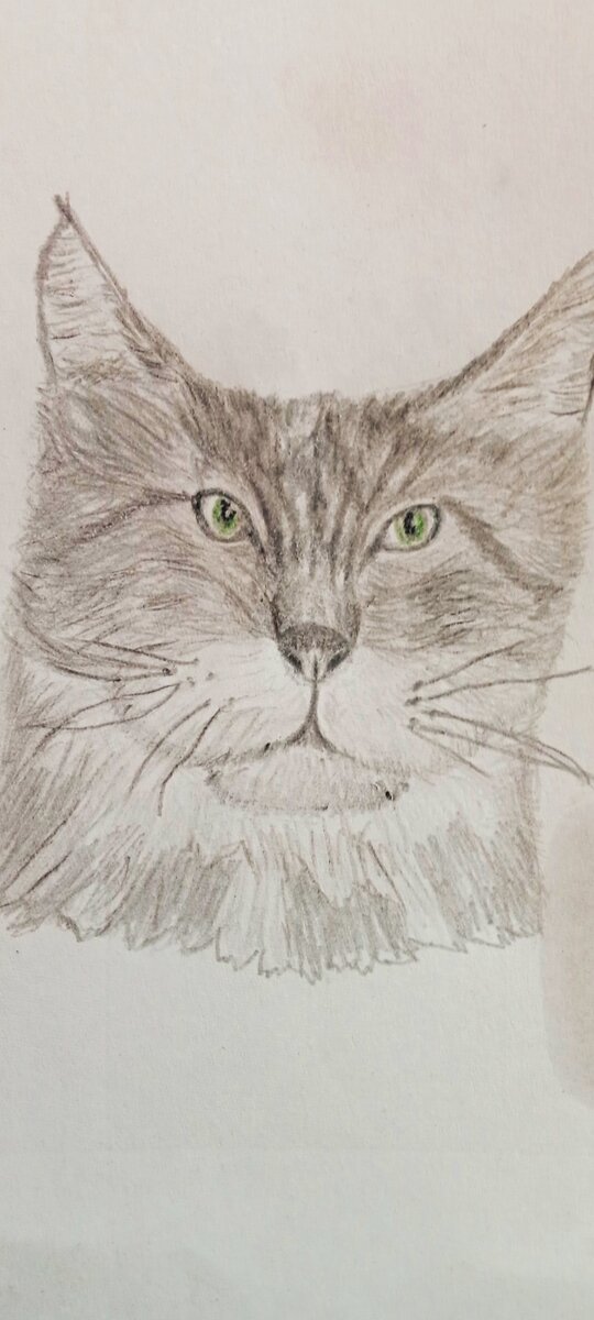 Этот вариант обработан в редакторе. Где добавил яркости. Контраст.