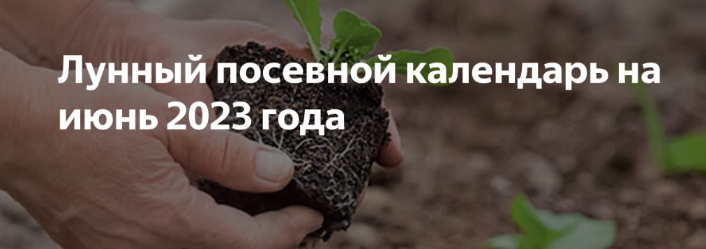 Лунный календарь июнь 2023. Лунный календарь на февраль для посадки перца. Дачный лунный посевной календарь на июнь. Посадочные дни в июне. Грунт для выращивания.