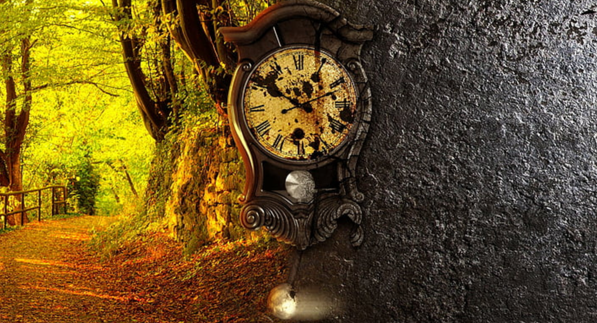 Cкриншот-цитата https://www.wallpaperflare.com/artistic-clock-plant-no-people-tree-nature-day-time-wallpaper-uctq 