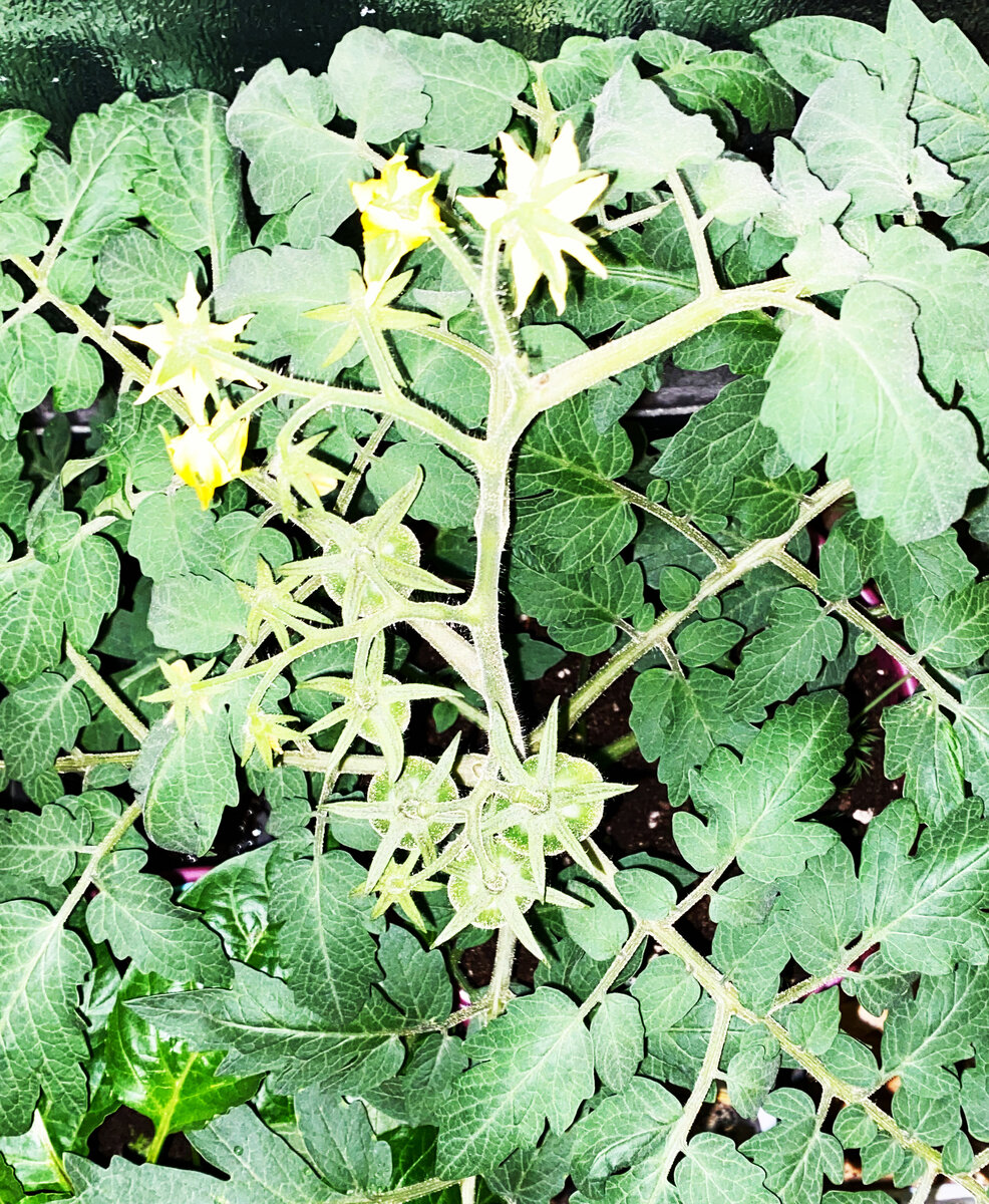 Фото из личного архива 