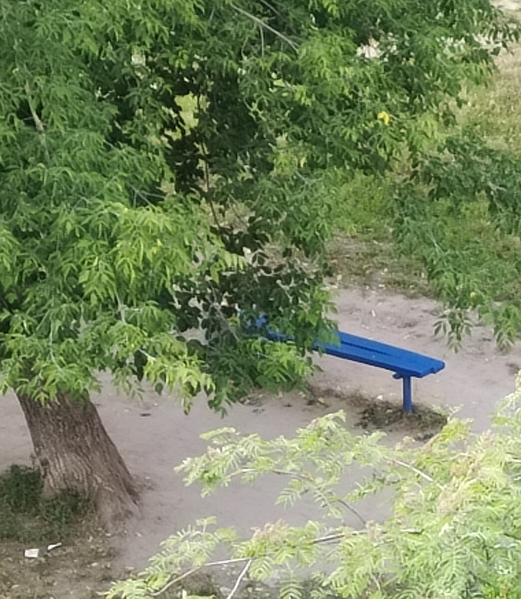 Лавочка, которая повидала многое на своем веку... Фото автора публикации