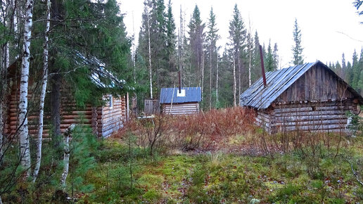 Осеннее путешествие по северным рекам ч11. Один в глухой тайге. Лесная изба. Одиночный поход - сплав по лесным рекам. Дикие места. Север