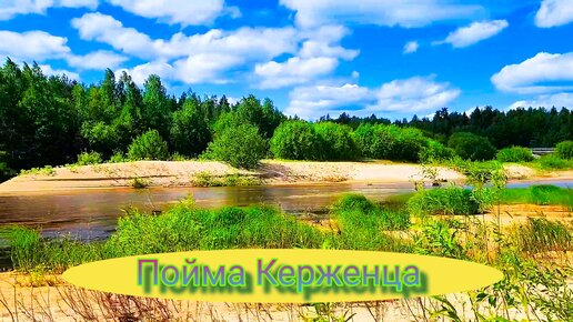 Восхитительная природа Керженского заповедника в Нижегородской области 🌲 Экотропа 