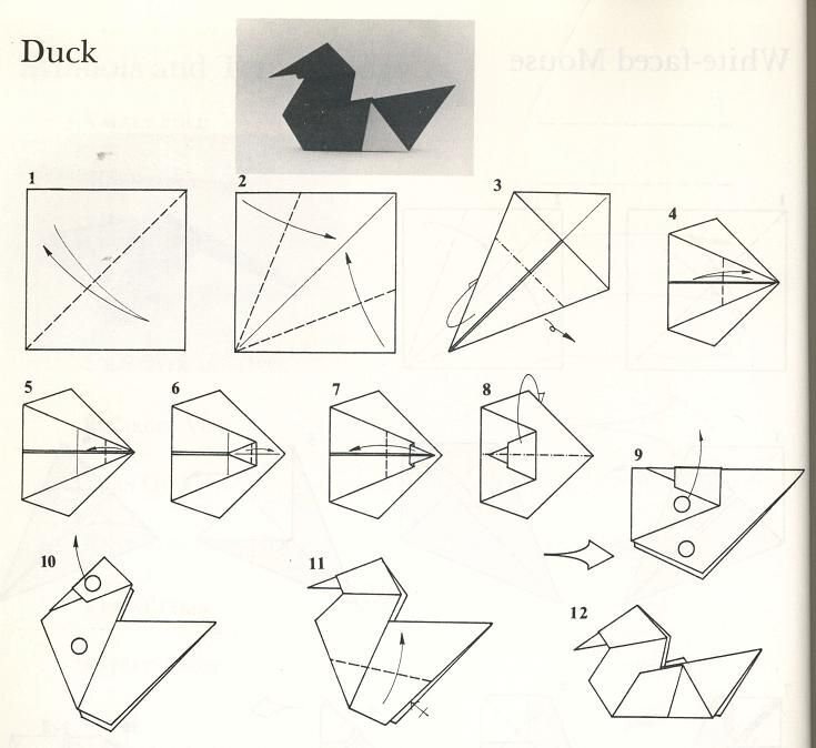 Бумажная уточка из бумаги. Оригами утка. Оригами уточка из бумаги для детей. Оригами уточка из бумаги схема. Оригами птица из бумаги для детей 5 лет.
