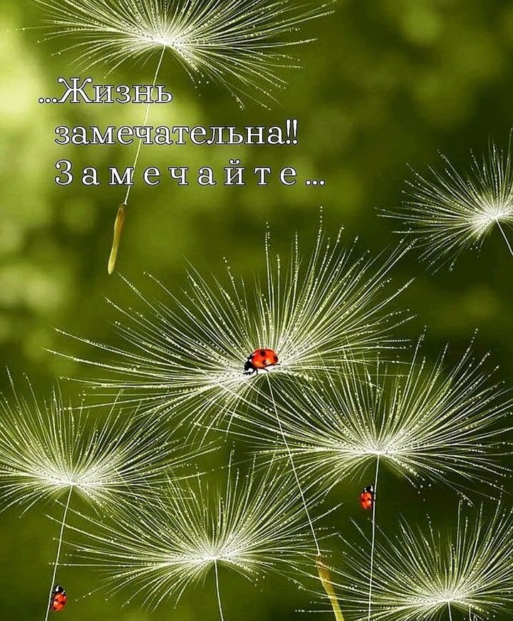 Чудеса - вокруг