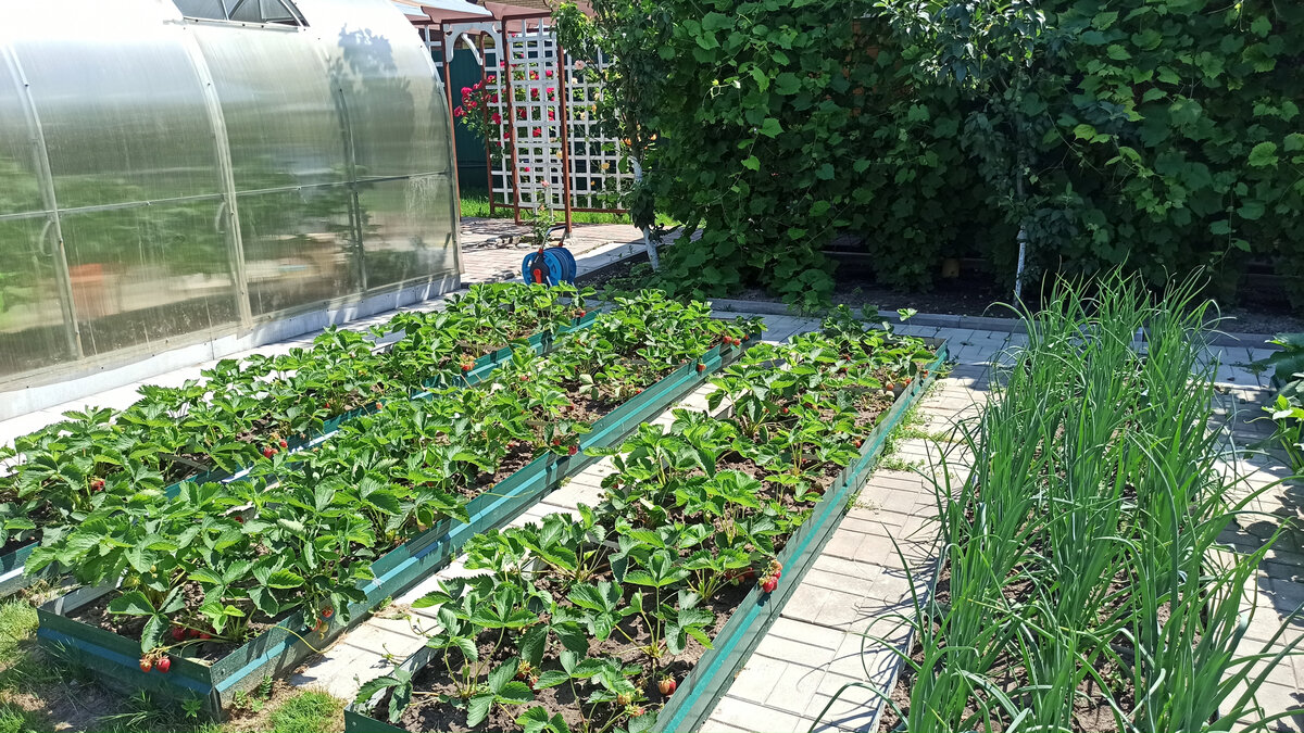 Фотография из личного архива