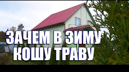 Если не косить газон в зиму? Деревенский влог.