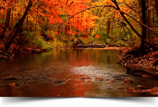 Как же было хорошо раньше .....