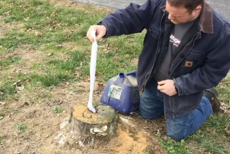 Добавьте описание