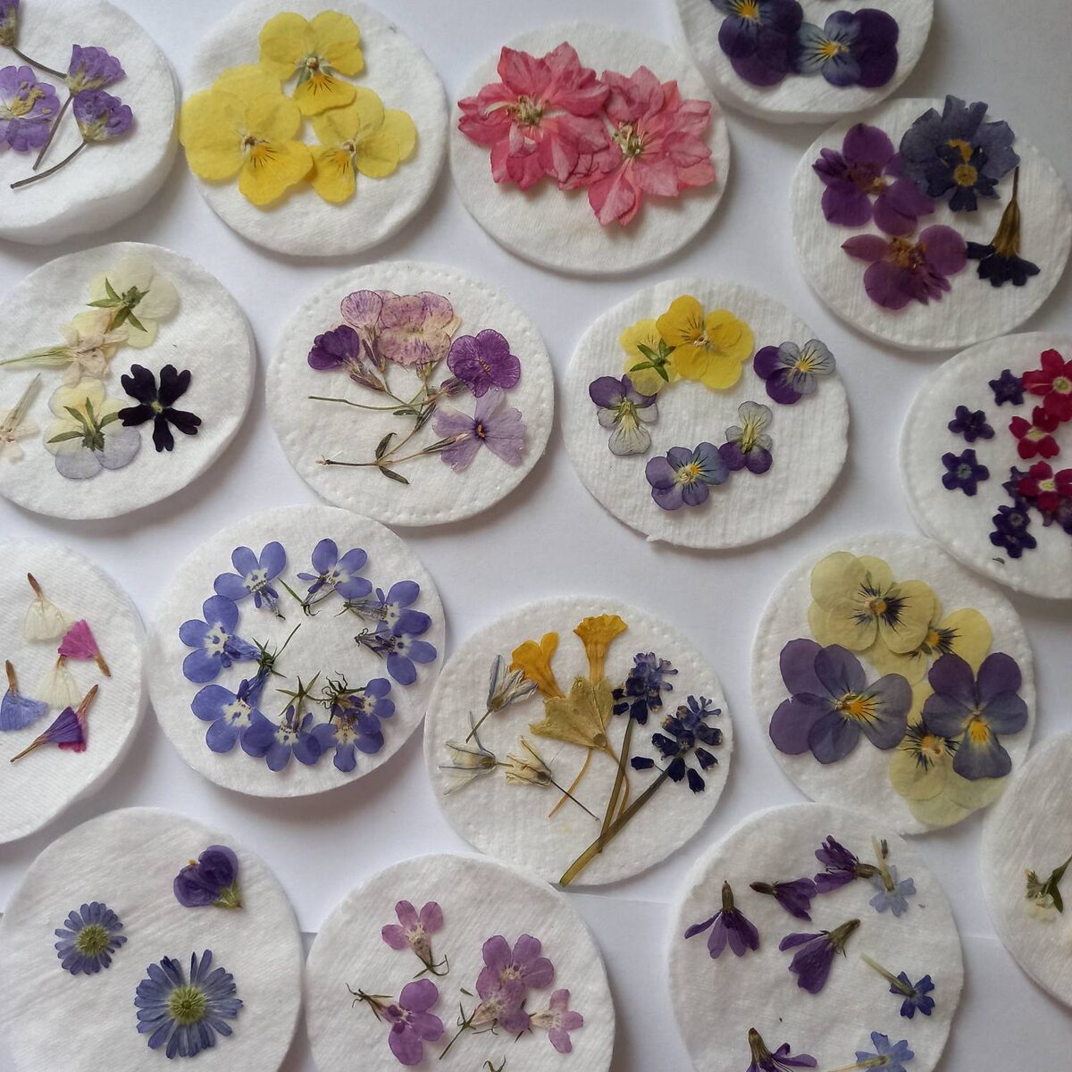 Сушка цветов