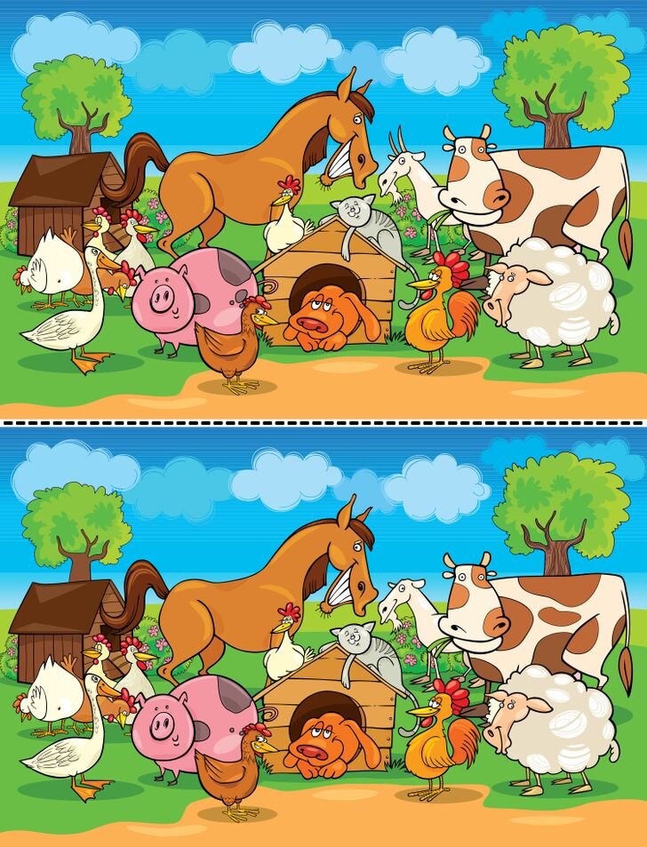 На этот раз домашние животные, целый скотный двор с хитрыми гримасами! Вот негодники, они прячут 4 отличия, кто первый? Погнали!