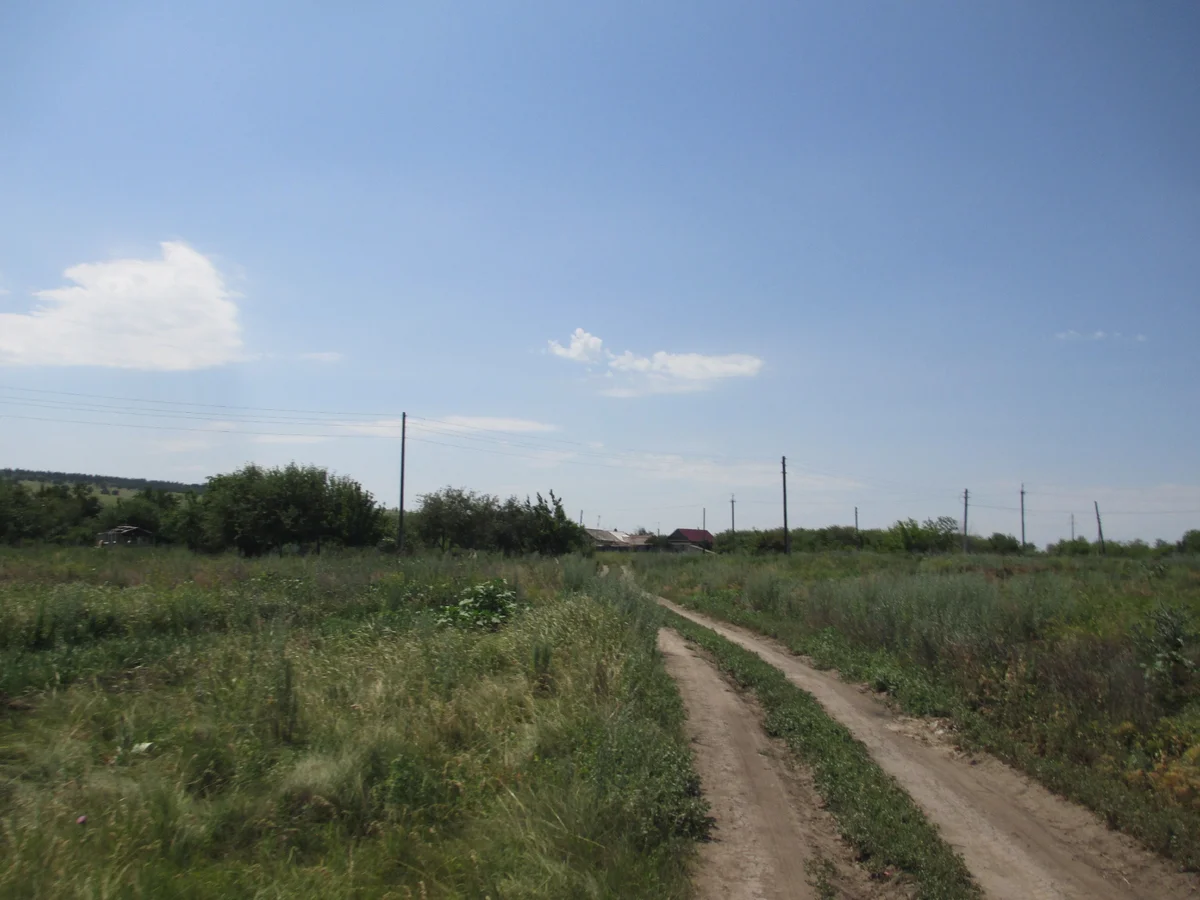 Фото из открытых источников ЯндексКартинки